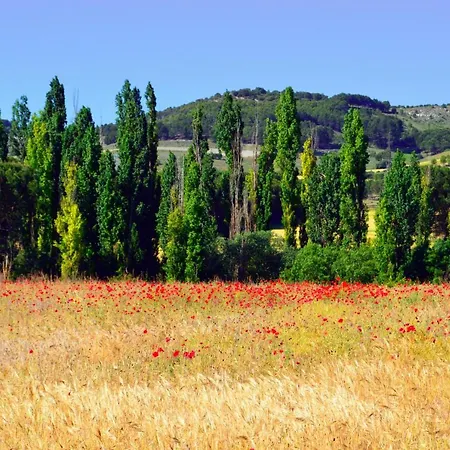 Casa Abuela Nila Ferienhaus Cogeces de Iscar