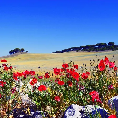 Casa Abuela Nila * Cogeces de Iscar