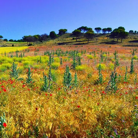 Casa Abuela Nila * Cogeces de Iscar