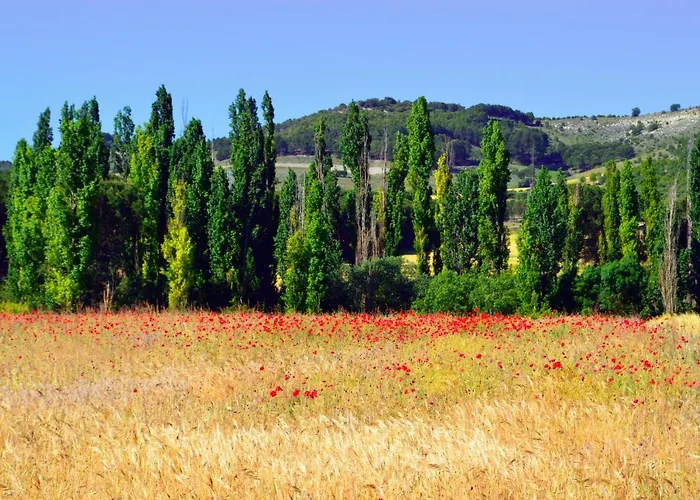 Casa Abuela Nila Feriehus Cogeces de Iscar