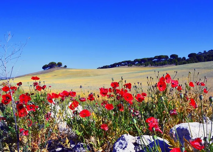 Casa Abuela Nila * Cogeces de Iscar
