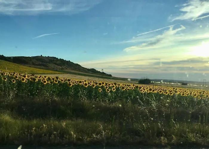 Casa Abuela Nila * Cogeces de Iscar