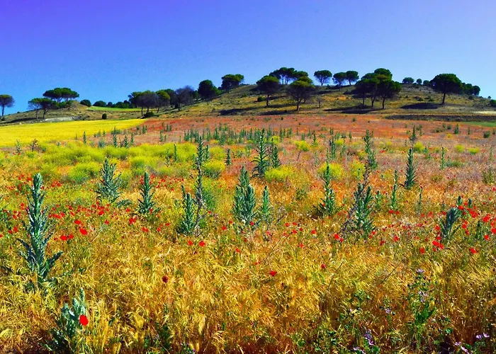 Casa Abuela Nila * Cogeces de Iscar