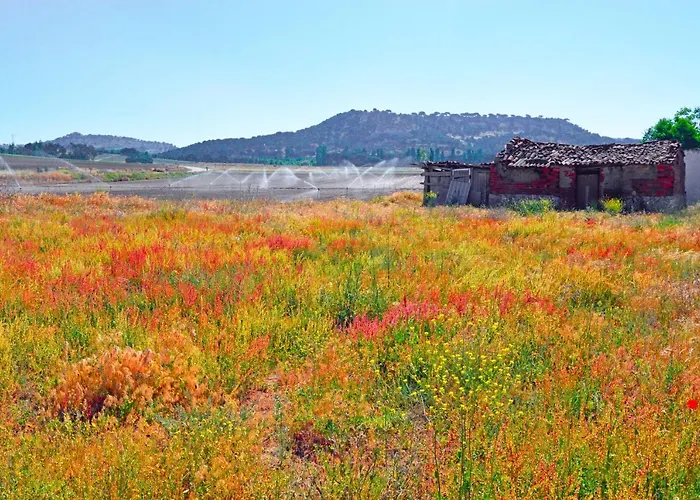 Casa Abuela Nila Cogeces de Iscar