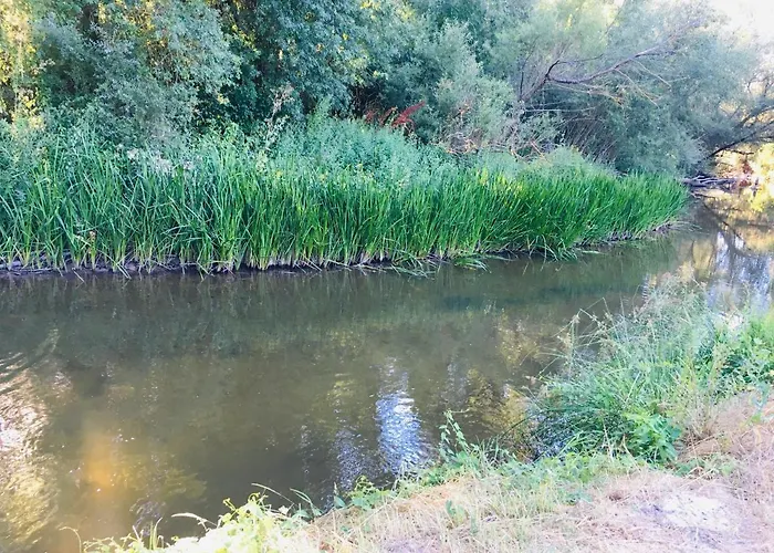 Casa Abuela Nila 펜션 *